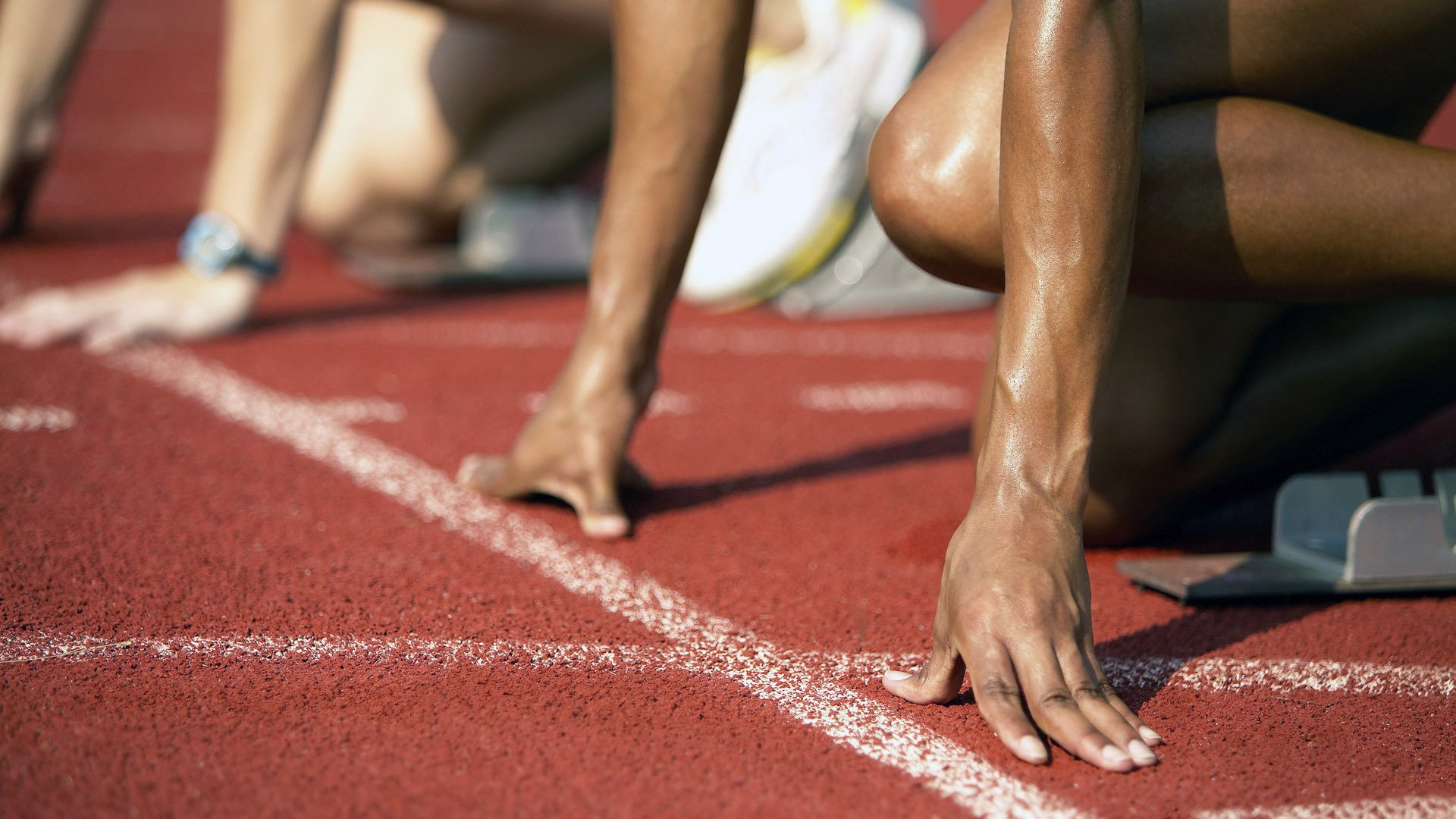 青少年游泳世锦赛 中国小将斩获多个奥运主项金牌